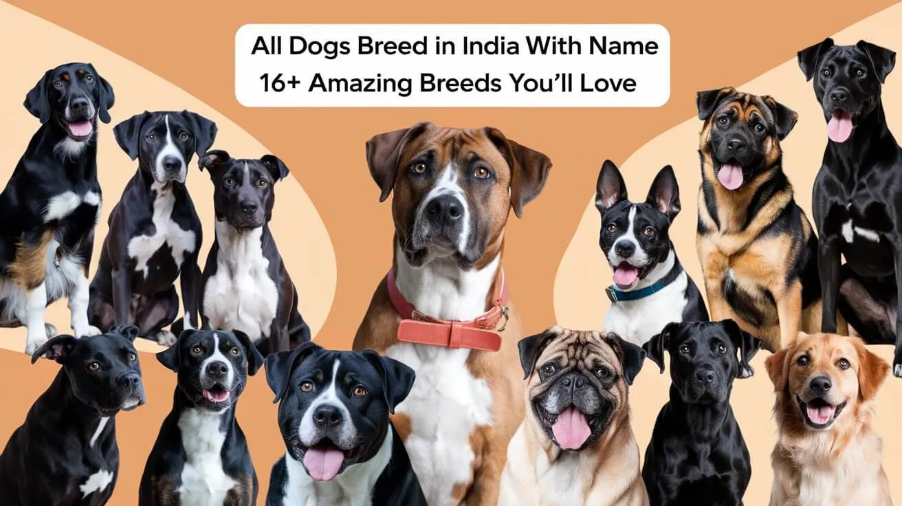 All Dogs Breed in India with Name 16+ Amazing Breeds You’ll Love