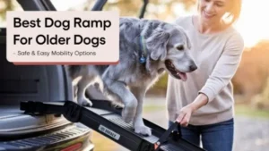Best Dog Ramp for Older Dogs – Safe & Easy Mobility Options