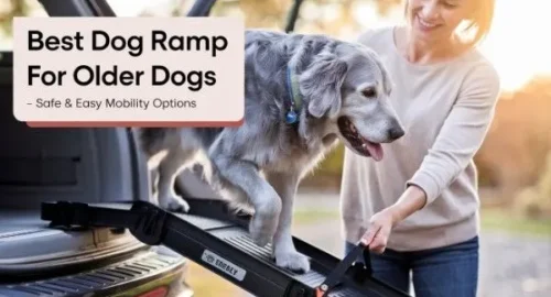 Best Dog Ramp for Older Dogs – Safe & Easy Mobility Options