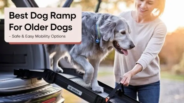 Best Dog Ramp for Older Dogs – Safe & Easy Mobility Options