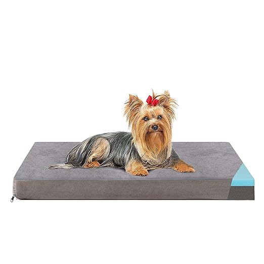 Top 7 Best Orthopedic Dog Beds for Senior Dogs (2025 Review)